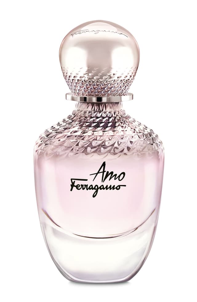 Based on Salvatore Ferragamo Amo Ferragamo